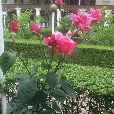 Vila Anna فندق غوليم