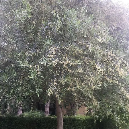 Vila Anna فندق 3*